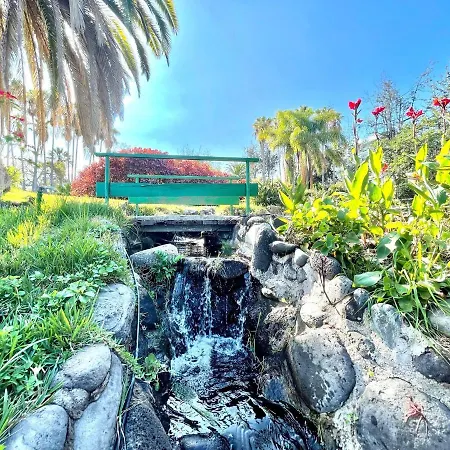 Bonito Estudio E Con Freewifi, Piscinas En Puerto De La Cruz Puerto de la Cruz (Tenerife)