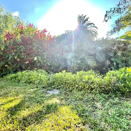 Bonito Estudio E Con Freewifi, Piscinas En Puerto De La Cruz Appartement Puerto de la Cruz (Tenerife)
