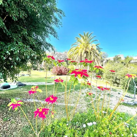 Bonito Estudio E Con Freewifi, Piscinas En Puerto De La Cruz Appartement Puerto de la Cruz (Tenerife)