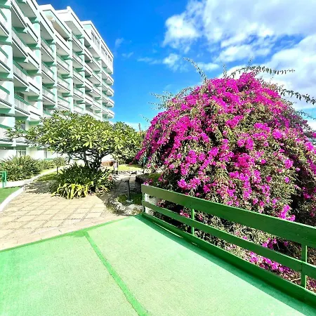Bonito Estudio E Con Freewifi, Piscinas En Puerto De La Cruz Puerto de la Cruz (Tenerife)