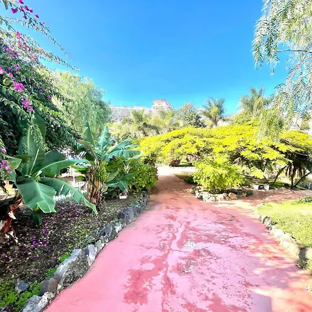 Bonito Estudio E Con Freewifi, Piscinas En Puerto De La Cruz Appartamento
