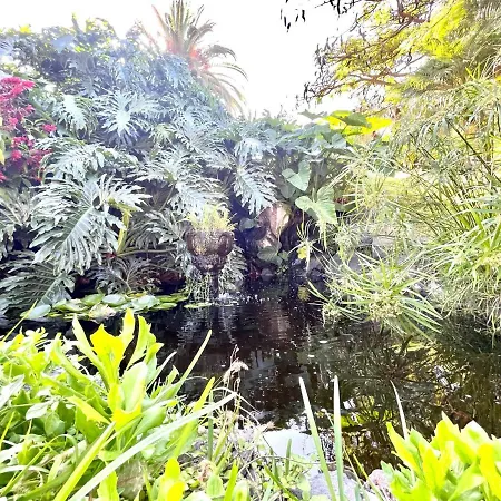 Bonito Estudio E Con Freewifi, Piscinas En Puerto De La Cruz Appartamento